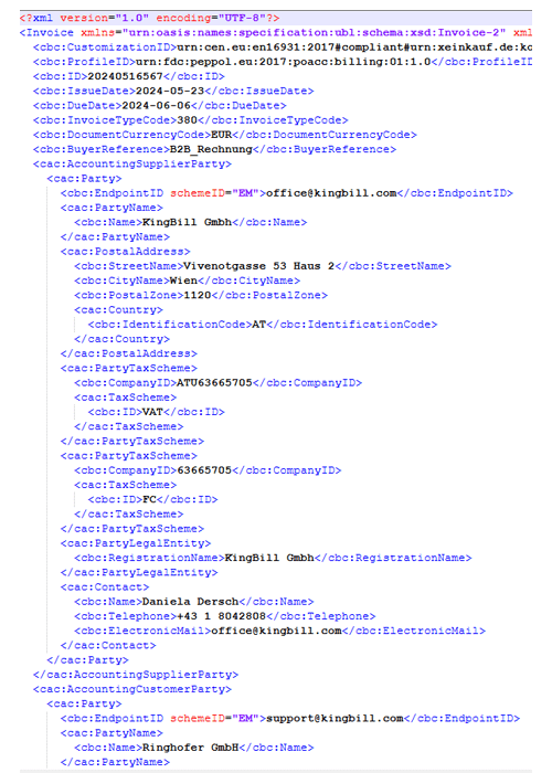 strukturierter Datensatz (E-Rechnung)