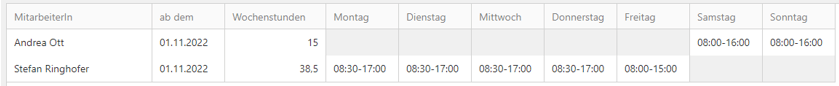 Stundenplan ausgefüllt